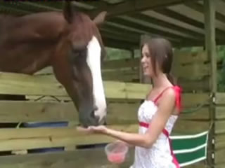 苗條美少女在馬棚喂馬